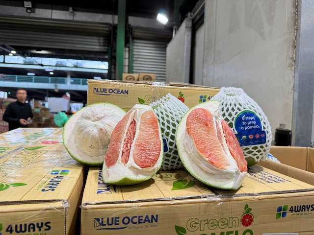 Viet Nam exports first shipment of fresh pomelos to Australia - Ảnh 1.