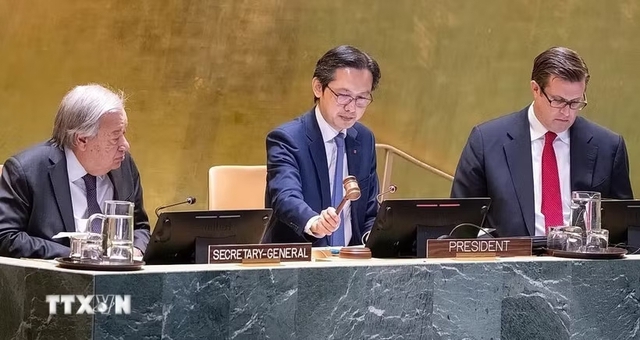 Vietnamese diplomat chairs 11th Review Conference of Treaty on Non-Proliferation of Nuclear Weapons- Ảnh 1.