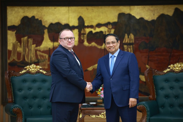 Prime Minister Pham Minh Chinh receives foreign guests- Ảnh 1.
