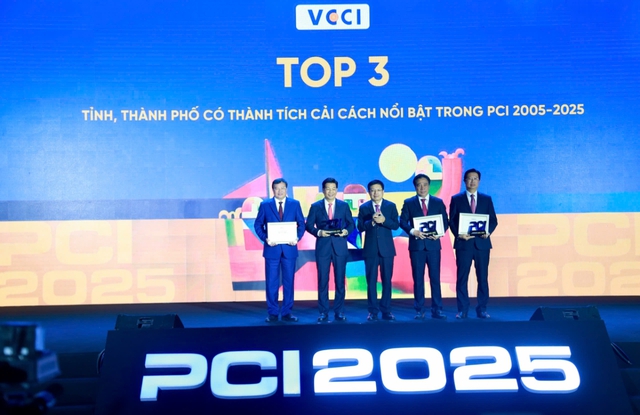 Provincial competitiveness rankings of 34 localities released- Ảnh 1.