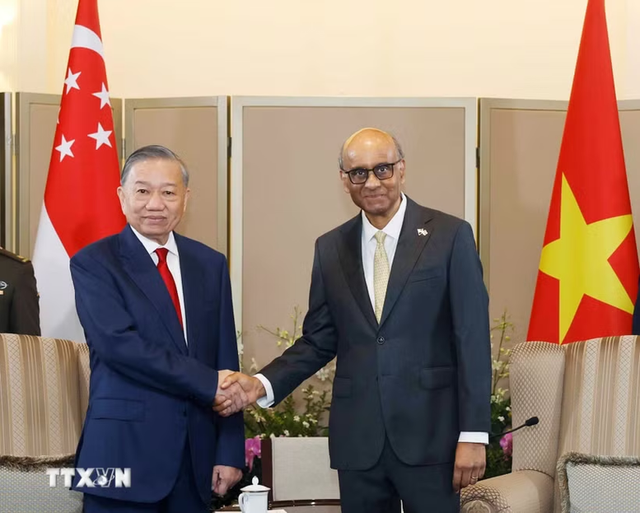 Top Vietnamese leader holds talks with Singaporean President- Ảnh 1. Top Vietnamese leader holds talks with Singaporean President- Ảnh 1.