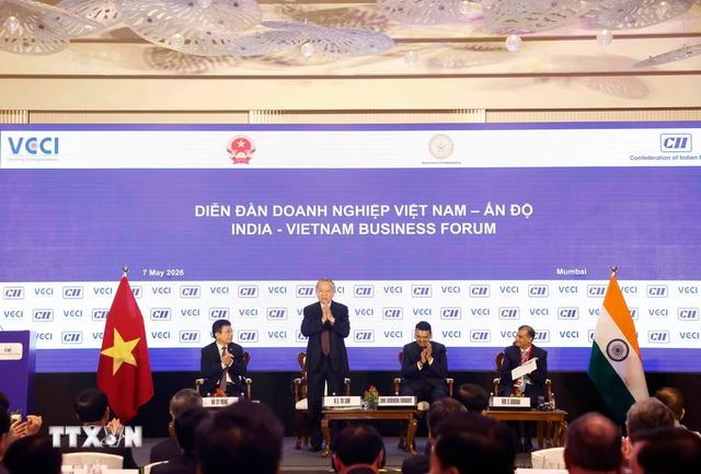 Top leader attends Viet Nam-India Business Forum in Mumbai - Ảnh 1.