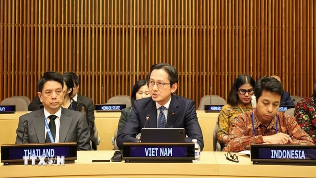 Viet Nam becomes founding member of Group of Friends for Combating Technology-facilitated Trafficking in Persons- Ảnh 1. Viet Nam becomes founding member of Group of Friends for Combating Technology-facilitated Trafficking in Persons- Ảnh 1.