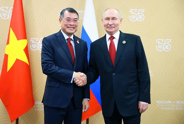 Viet Nam, Russia vow to soon raise bilateral trade to US$15 billion - Ảnh 1.