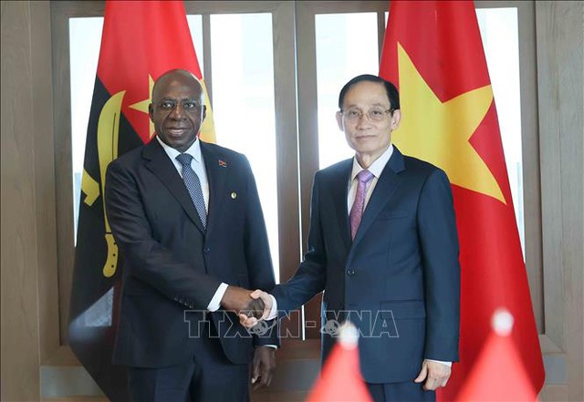 Vietnamese, Angolan Foreign Ministers hold talks in Ha Noi- Ảnh 1.