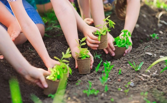 Top leader calls for building ecological civilization, green Viet Nam, and peaceful, sustainable ocean- Ảnh 3.