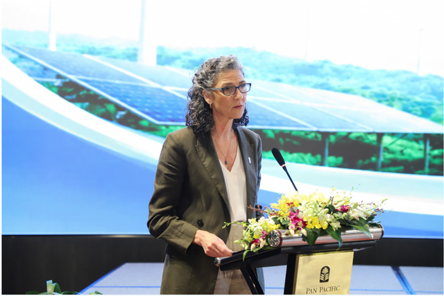 Energy efficiency could boost Viet Nam’s GDP: UNDP research - Ảnh 1. Energy efficiency could boost Viet Nam’s GDP: UNDP research - Ảnh 1.