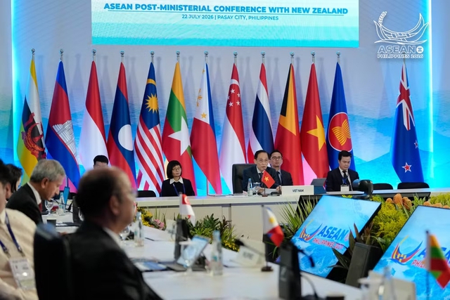 Viet Nam co-chairs ASEAN–New Zealand Ministerial Meeting- Ảnh 1.