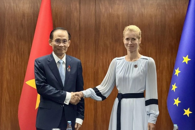 Foreign Minister meets EC Vice President in Manila - Ảnh 1.