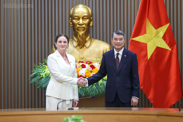 New Zealand regards Viet Nam as important partner in Southeast Asia- Ảnh 1.