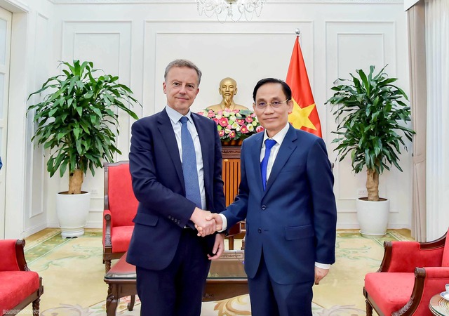 Viet Nam, France advance implementation of Comprehensive Strategic Partnership- Ảnh 1.