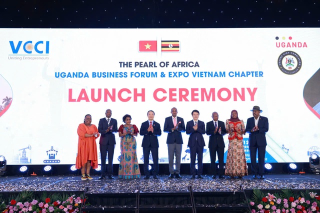 Premier entry point for Vietnamese enterprises into Africa- Ảnh 1.