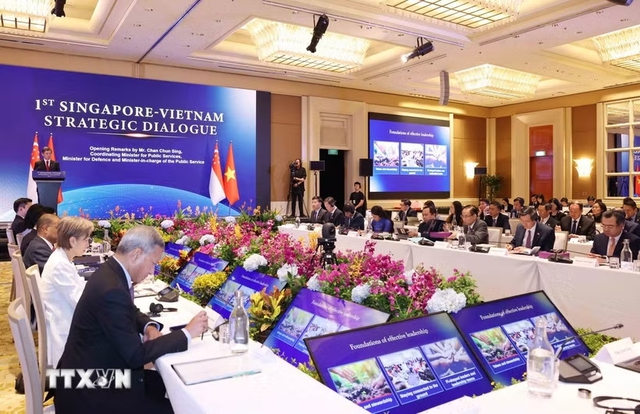 Viet Nam, Singapore issue Joint Statement on Technology Connectivity Strategy- Ảnh 1.