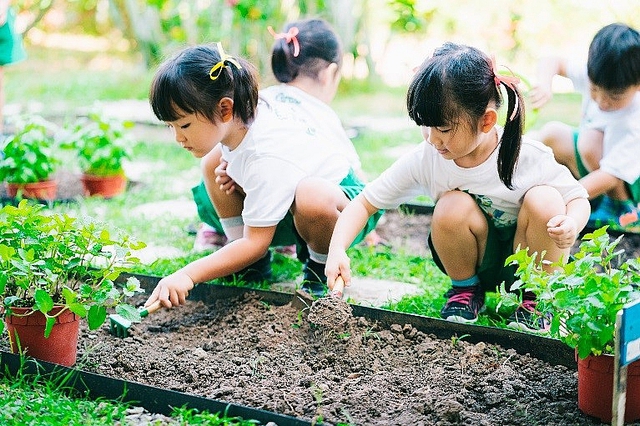 Gov’t adopts action program on environmental protection, climate resilience- Ảnh 1.