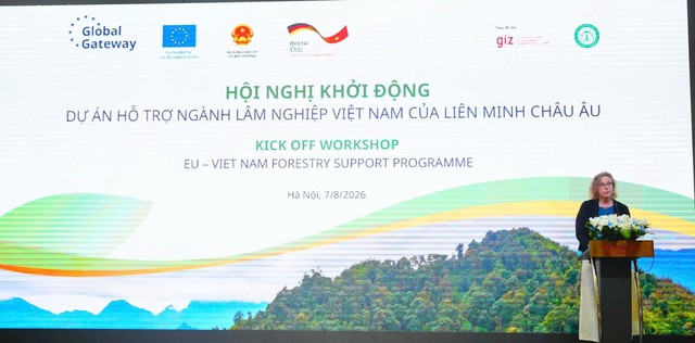 EU, Germany back Viet Nam's natural forest conservation - Ảnh 3.