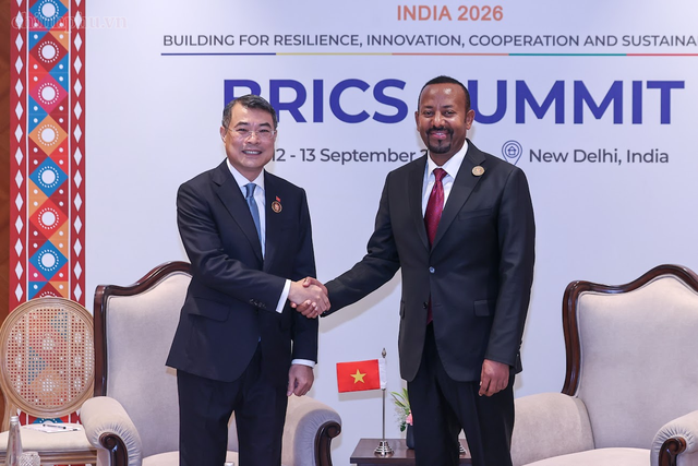 Prime Minister Le Minh Hung meets Ethiopian counterpart Abiy Ahmed Ali on BRICS Summit sidelines- Ảnh 1.