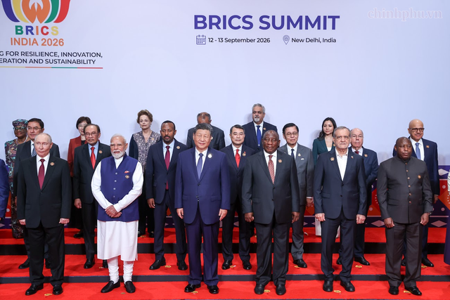 BRICS should play greater role in advancing multilateral system reforms, says Prime Minister- Ảnh 1.
