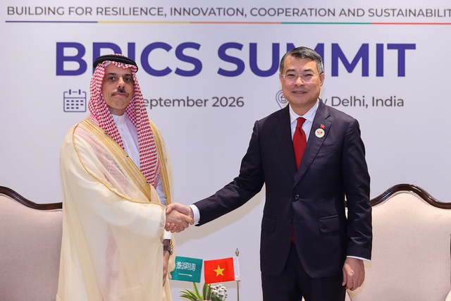 Viet Nam expects stronger energy cooperation with Saudi Arabia- Ảnh 1.