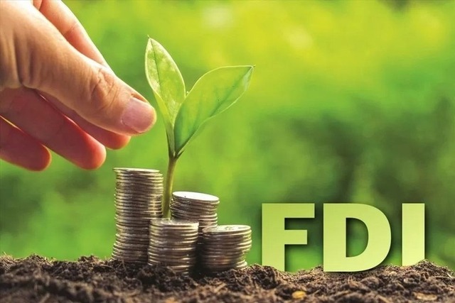 Gov’t issues action plan to develop FDI sector- Ảnh 2.