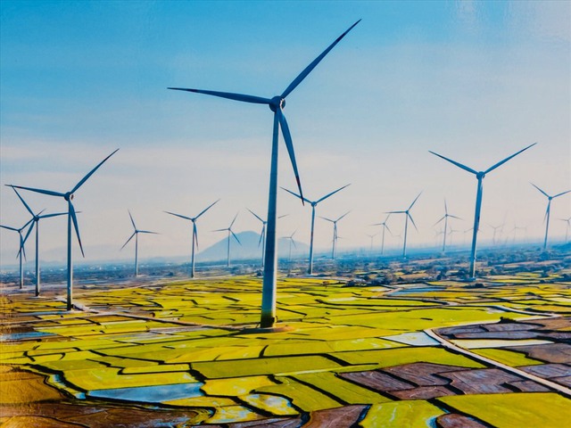 越南风电产业备受丹麦企业关注 - Ảnh 1.