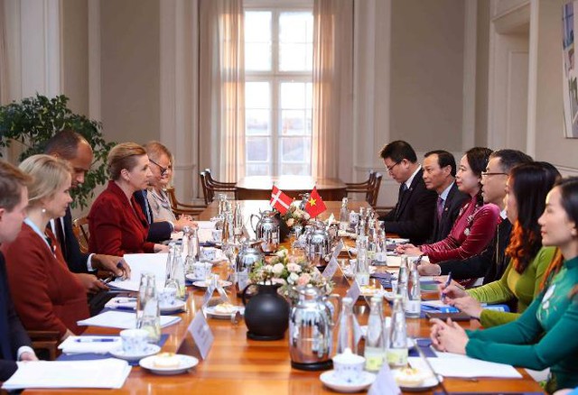 国家副主席武氏映春与丹麦首相梅特·弗雷泽里克森举行会谈- Ảnh 2.