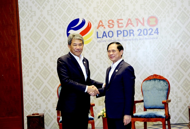 越南外交部部长裴青山会见泰国副总理兼外交部部长和马来西亚外交部部长- Ảnh 2.