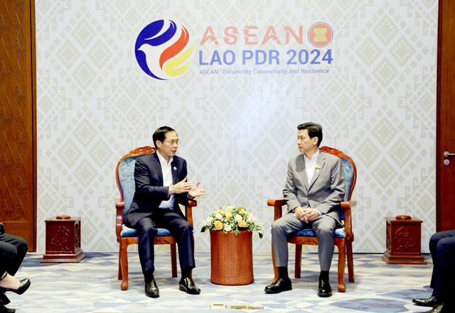 越南外交部部长裴青山会见泰国副总理兼外交部部长和马来西亚外交部部长- Ảnh 1.