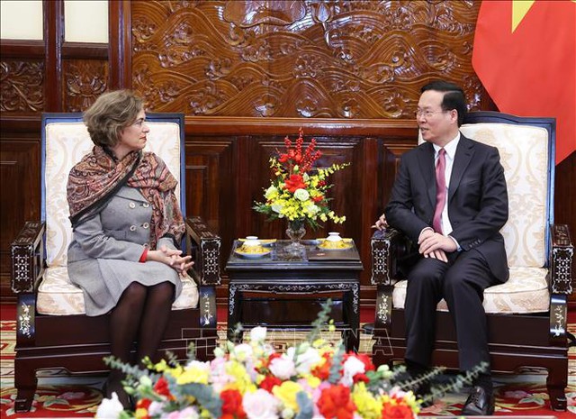 越南国家主席武文赏接受各国新任驻越大使递交国书- Ảnh 2.