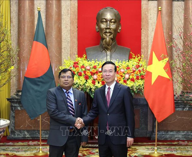 越南国家主席武文赏接受各国新任驻越大使递交国书- Ảnh 3.