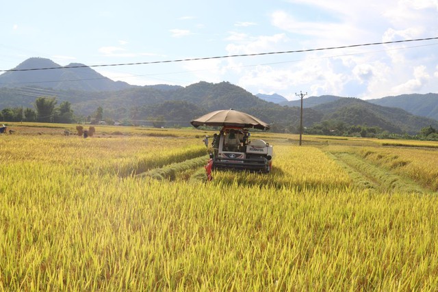 2023年越南农林水产品贸易顺差额创新高- Ảnh 1.