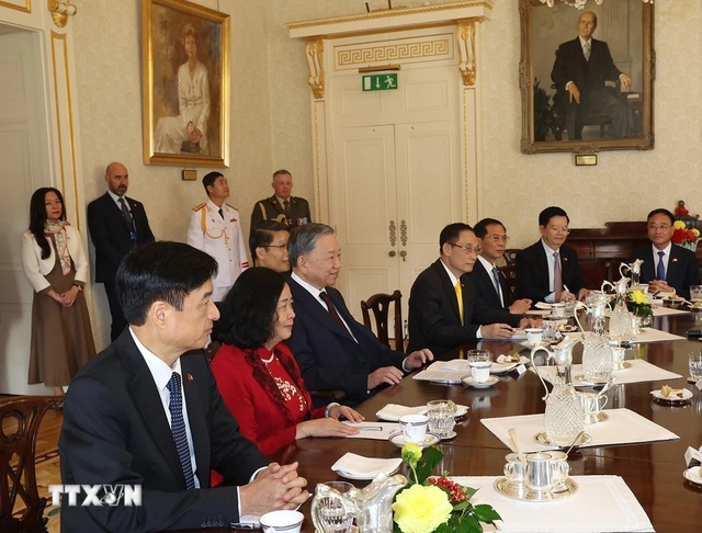 苏林总书记、国家主席与爱尔兰总统希金斯举行会谈- Ảnh 2.