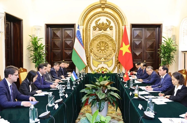 越南与乌兹别克斯坦两国外交部进行会谈- Ảnh 1.