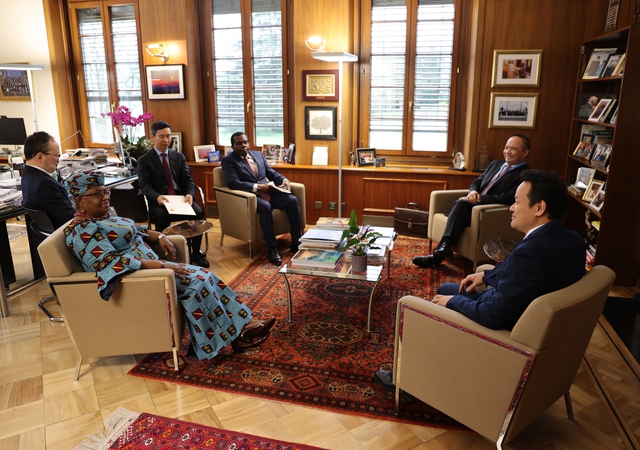 世贸组织：越南为多边贸易体制做出积极贡献- Ảnh 1.