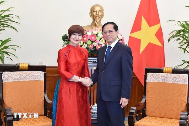 越南外交部长裴青山会见联合国教科文组织大会主席- Ảnh 1.