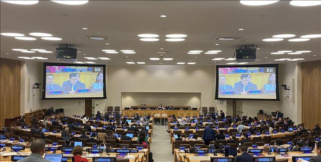 越南在打击非法贩卖军火行为方面采取一系列举措- Ảnh 1.