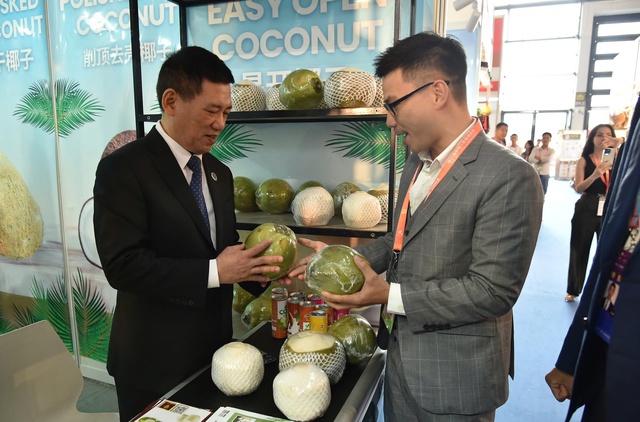 胡德福副总理:中国—东盟合作4个优先领域- Ảnh 20. 胡德福副总理:中国—东盟合作4个优先领域- Ảnh 20.