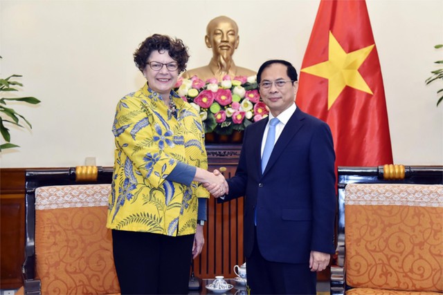 越南政府副总理、外交部长裴青山会见德国驻越大使- Ảnh 1.