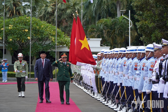 越南国防部长潘文江大将会见印尼国防部长沙弗里∙沙姆苏丁- Ảnh 1.