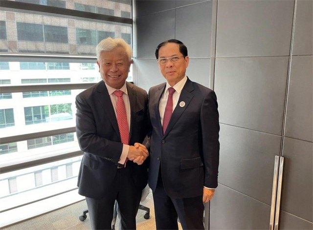 越南政府副总理兼外交部长裴青山会见亚洲基础设施投资银行行长金立群- Ảnh 1.