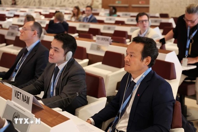 越南和国际社会一道 呼吁遵守国际人道法- Ảnh 1.