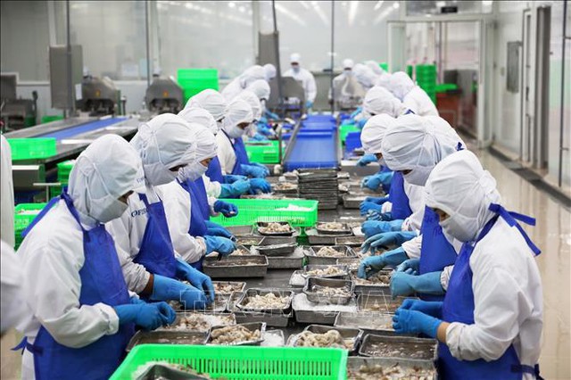 2025年前5月农林水产品出口金额增长15%- Ảnh 1.