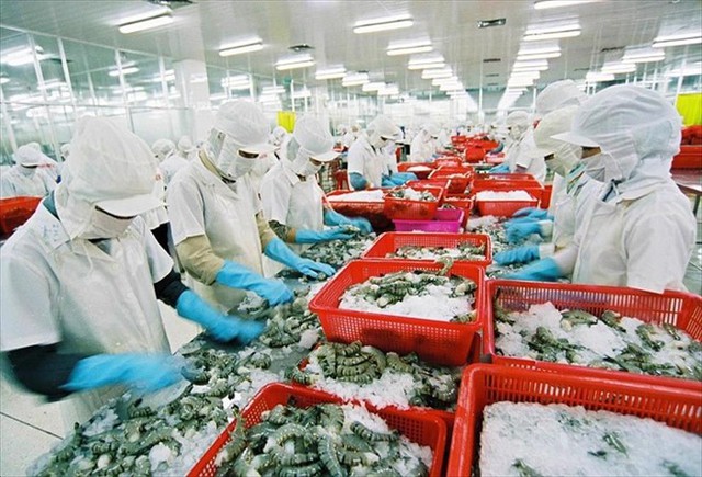 中国成为越南水产品最大出口市场- Ảnh 1.