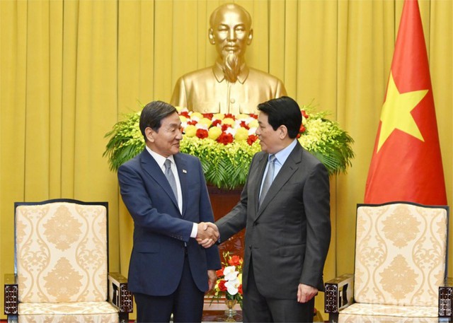 越南国家主席梁强会见韩国总统特使- Ảnh 1.