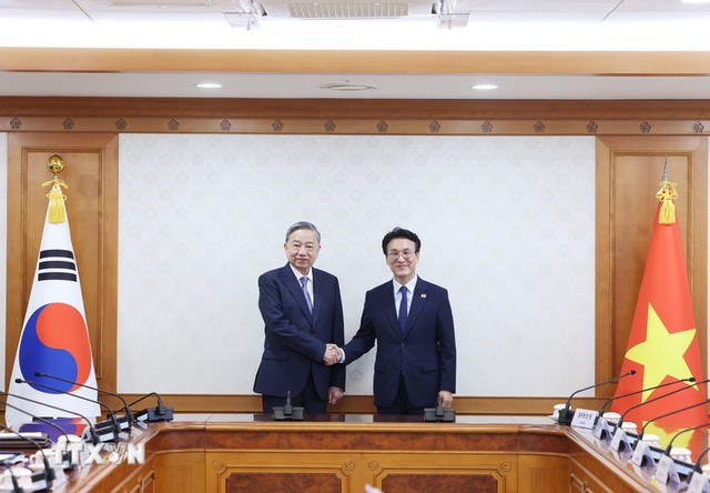 越共中央总书记苏林会见韩国总理金敏锡- Ảnh 1.