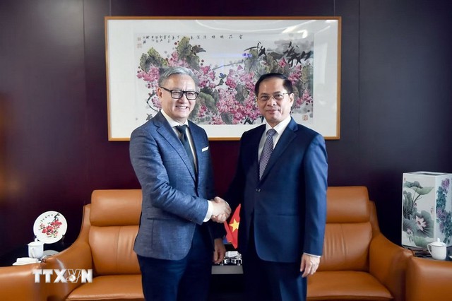 越南政府副总理兼外长裴青山会见老挝外交部长通沙万- Ảnh 1.