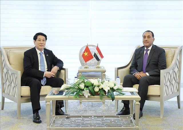 越南国家主席梁强会见埃及总理- Ảnh 1.