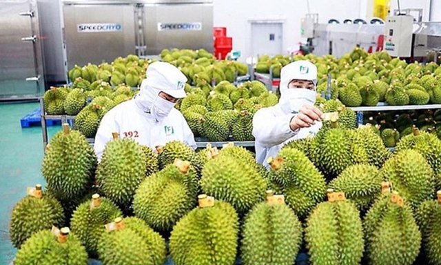 2025年前9个月越南果蔬出口额突破61.1亿美元- Ảnh 1.