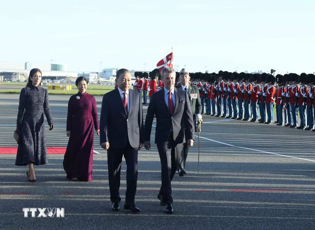 越共中央总书记、国家主席苏林开始对丹麦进行国事访问- Ảnh 1.