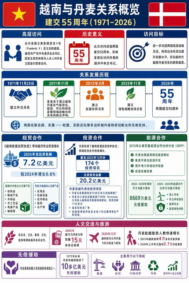 越共中央总书记、国家主席苏林开始对丹麦进行国事访问- Ảnh 2.