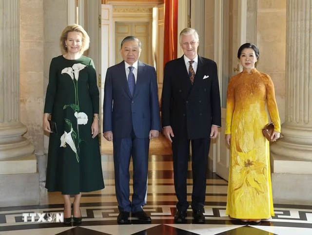越共中央总书记、国家主席苏林会见比利时国王菲利普- Ảnh 1.